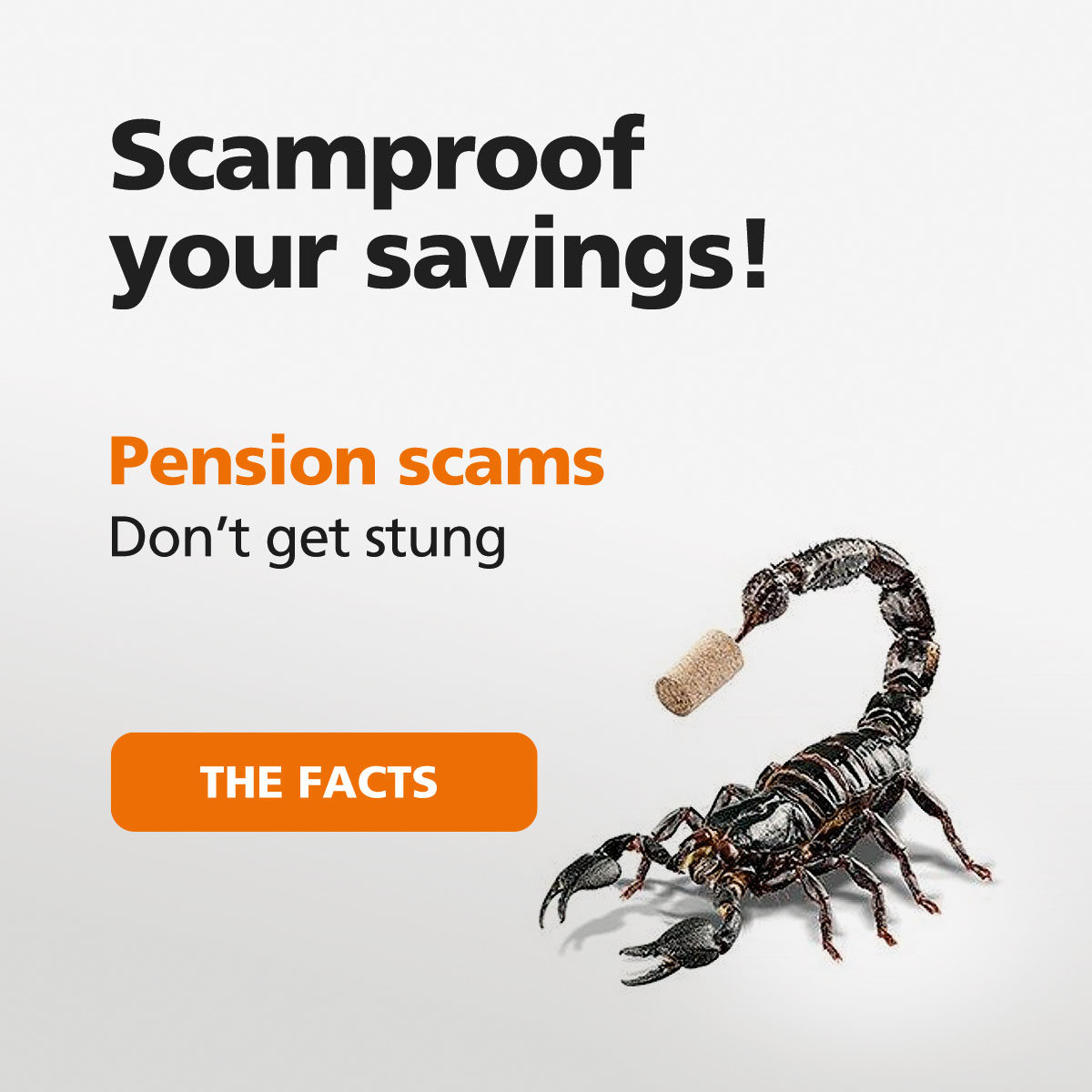Scam Proof your Saving